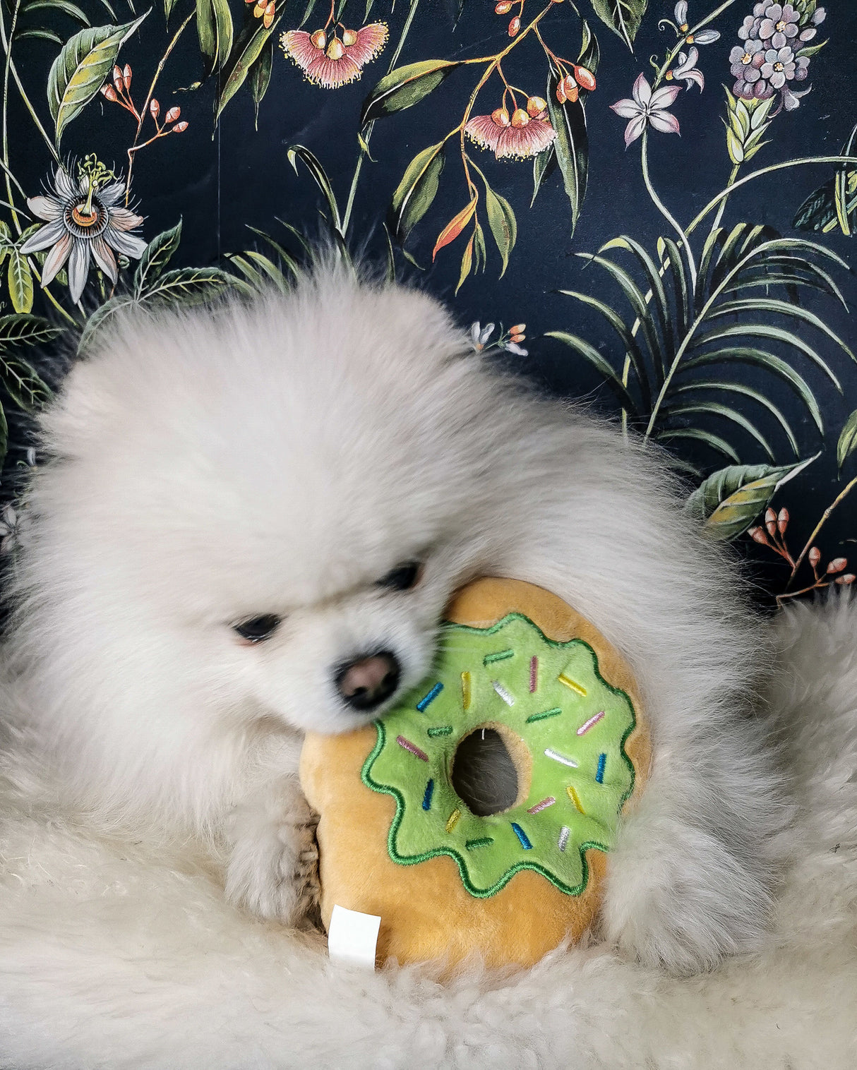 Frenkiez Sweetz Green Donut - Premium Hondenspeeltje > Hondenspeelgoed from Frenkiez - Just €4.99! Shop now at Frenkiezdogshop