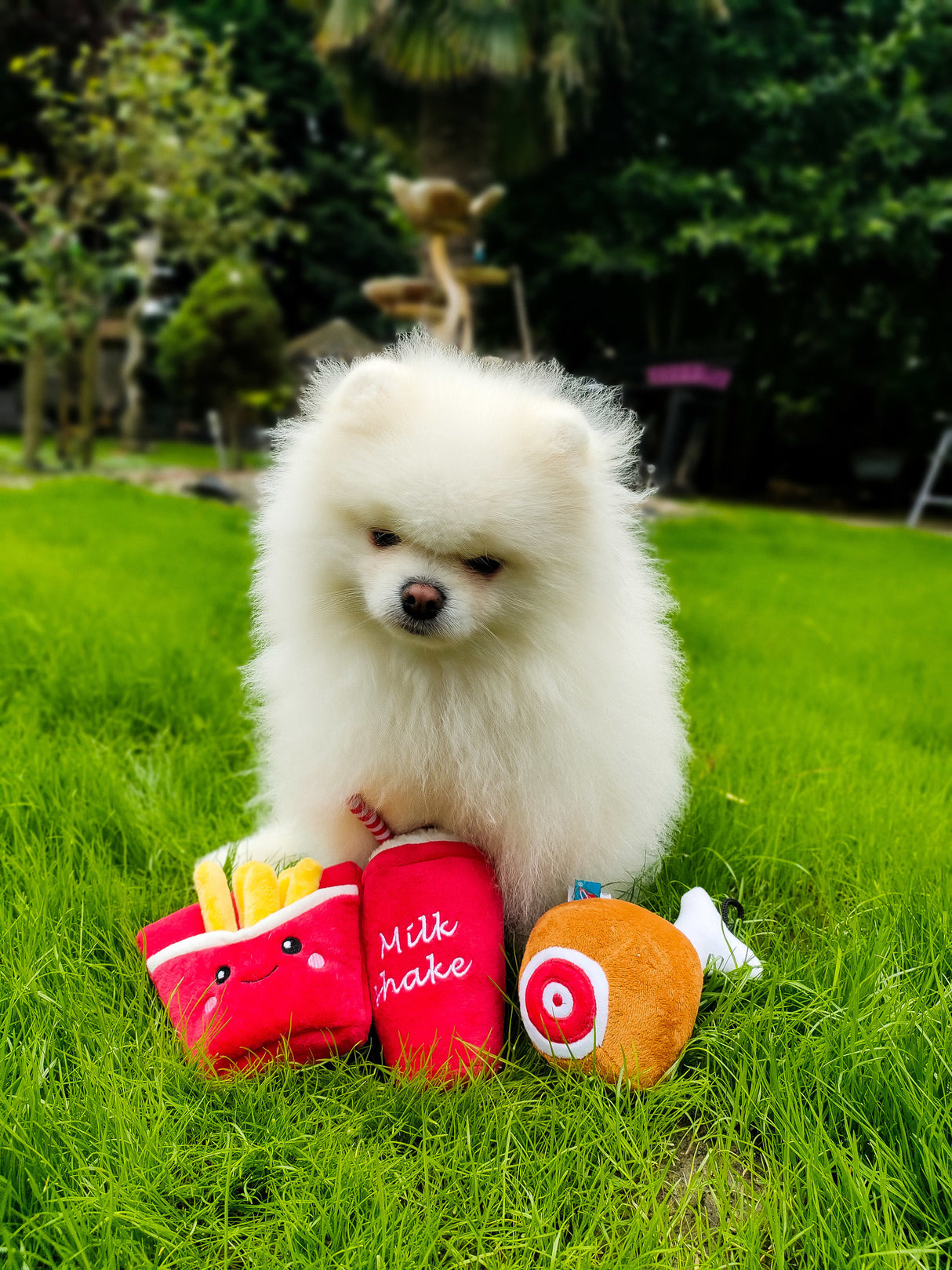 Frenkiez Chicken Meal Box (3 Toyz ) - Premium Hondenspeeltje > Hondenspeelgoed from Frenkiez - Just €19.99! Shop now at Frenkiezdogshop