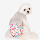 Puppia Spring Blossom sanitary pants Sky Blue - Premium Loopsheidbroekje > Periodebroekje from Puppia - Just €18.99! Shop now at Frenkiezdogshop