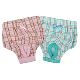 Pinkaholic Eulalia Sanitary panty Aqua - Premium Loopsheidbroek > Periodebroekje from Pinkaholic - Just €15.99! Shop now at Frenkiezdogshop