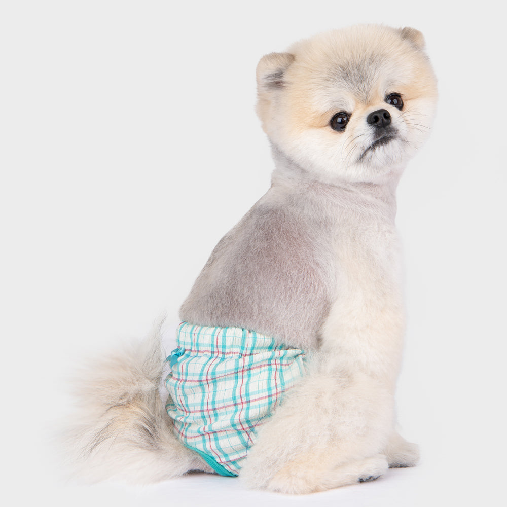 Pinkaholic Eulalia Sanitary panty Aqua - Premium Loopsheidbroek > Periodebroekje from Pinkaholic - Just €15.99! Shop now at Frenkiezdogshop