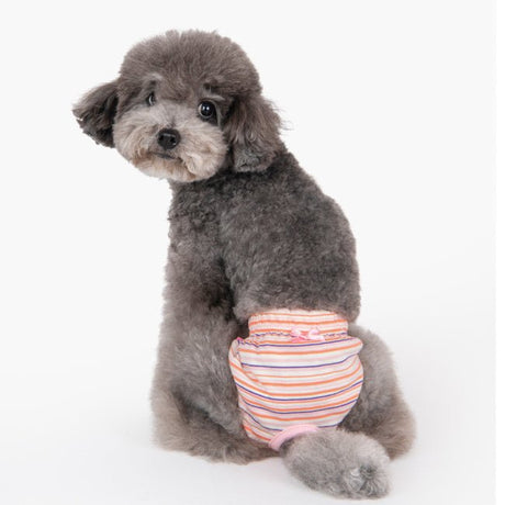 Pinkaholic Meline Sanitary panty Pink Loopsheidbroek > Periodebroekje Small