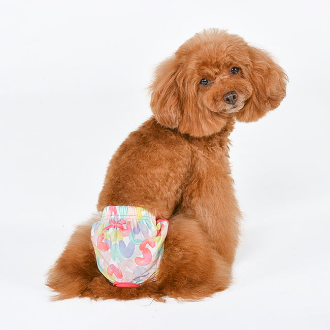 Pinkaholic Diana Sanitary Panty Fanta – Loopsheidbroekje voor Kleine Honden