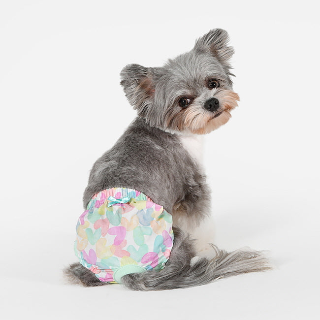 Pinkaholic Diana Sanitary Panty Mint – Loopsheidbroekje voor Kleine Honden