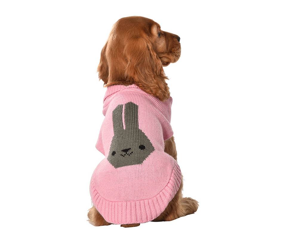 Bobby Trui Darling Pink - Premium Hondenkleding > Hondentrui from Bobby - Just €28.99! Shop now at Frenkiezdogshop