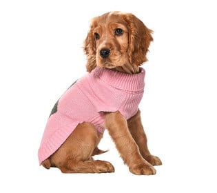 Bobby Trui Darling Pink - Premium Hondenkleding > Hondentrui from Bobby - Just €28.99! Shop now at Frenkiezdogshop