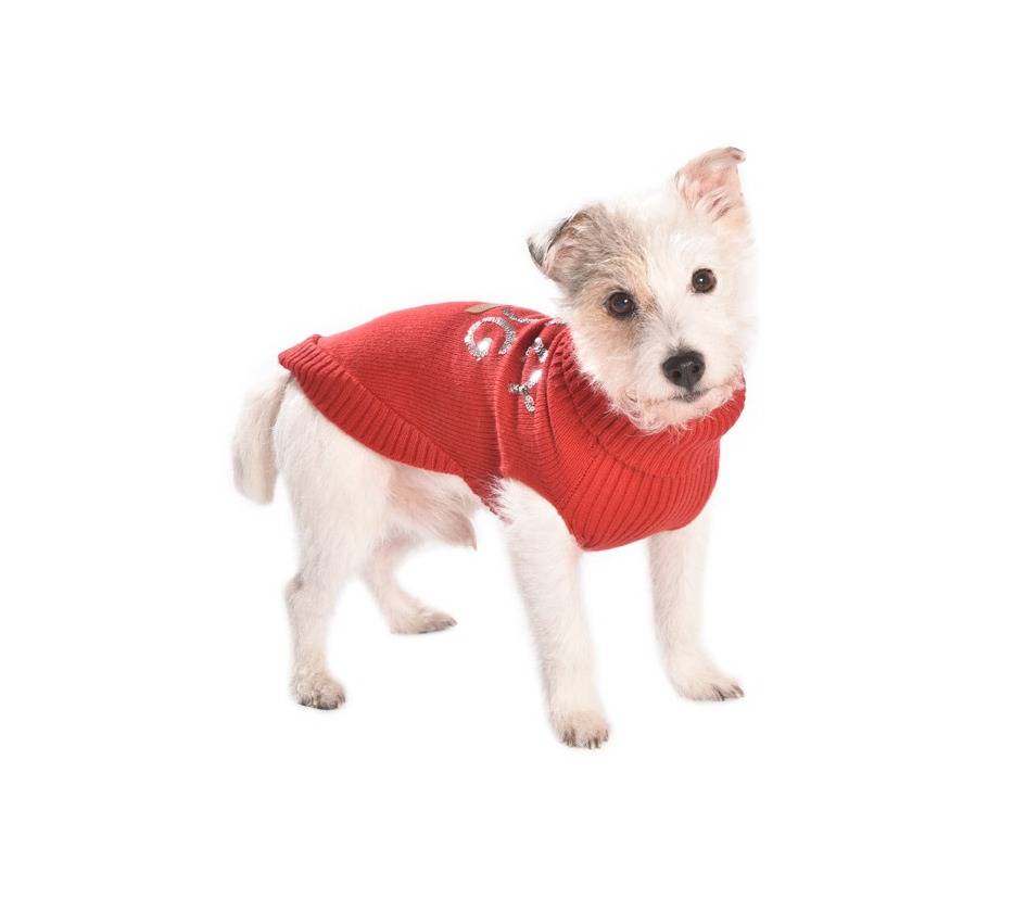 Bobby Trui Crazy Red ( XS en S ) - Premium Hondenkleding > Hondentrui from Bobby - Just €28.99! Shop now at Frenkiezdogshop