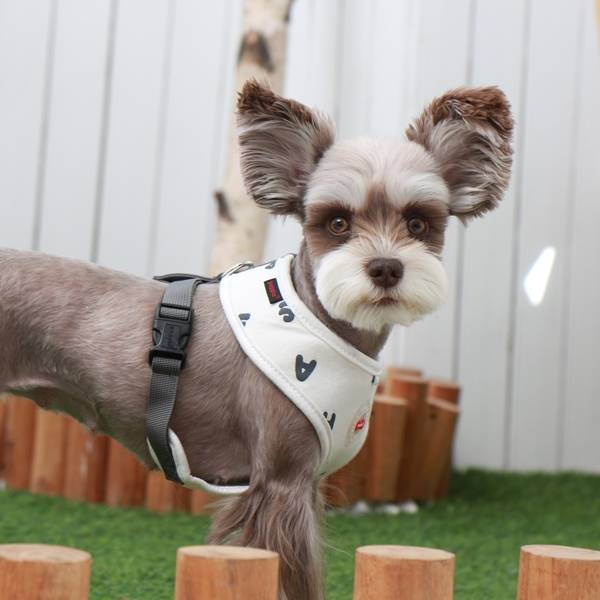 Puppia Algo Harness model A White - Premium hondentuig > honden harnas from Puppia - Just €28.99! Shop now at Frenkiezdogshop