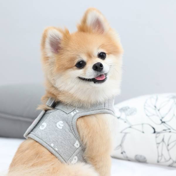 Puppia Algo Harness model B Grey ( Alleen S ) - Premium hondentuig > honden harnas from Puppia - Just €31.99! Shop now at Frenkiezdogshop