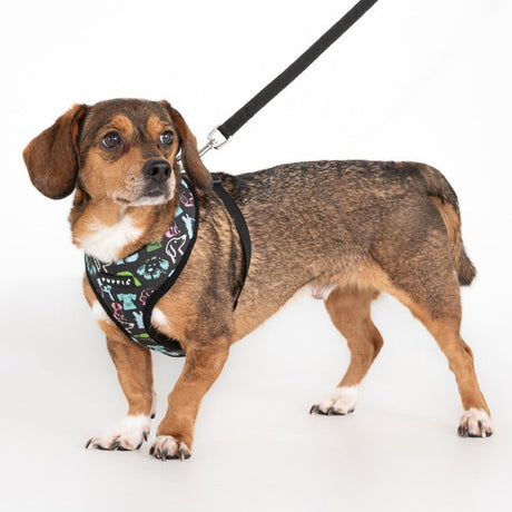 Puppia Connor Hondentuig Model A Black hondentuig > honden harnas > model A Small