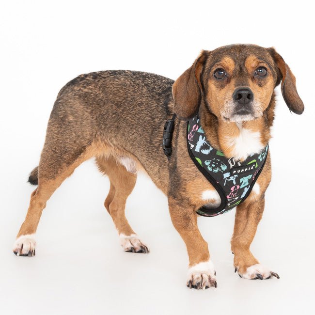 Puppia Connor Hondentuig Model A Black hondentuig > honden harnas > model A Small