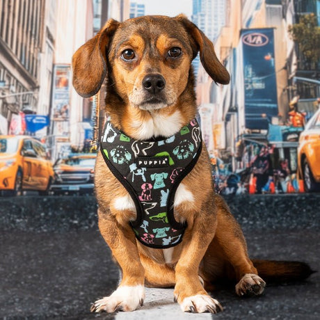 Puppia Connor Hondentuig Model A Black hondentuig > honden harnas > model A Small