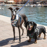 Puppia Connor Hondentuig Model A Blue hondentuig > honden harnas > model A Small