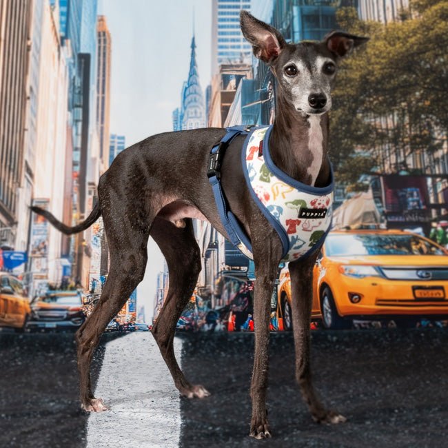 Puppia Connor Hondentuig Model A Blue hondentuig > honden harnas > model A Small