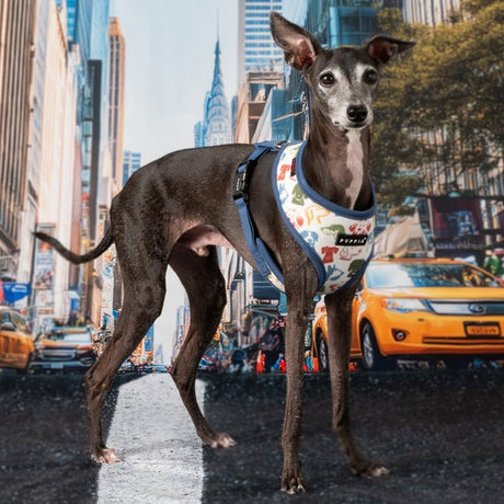 Puppia Connor Hondentuig Model A Blue hondentuig > honden harnas > model A Small