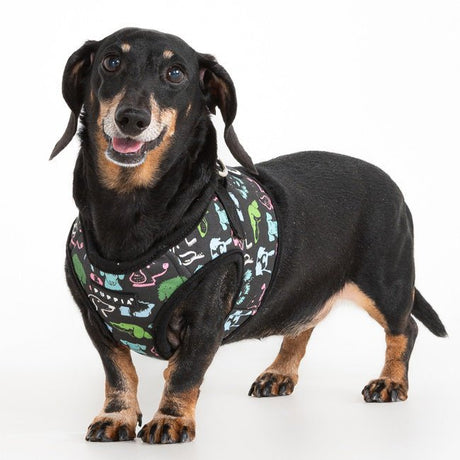 Puppia Connor Vest Harness Model B Black hondentuig > honden harnas > model B Small
