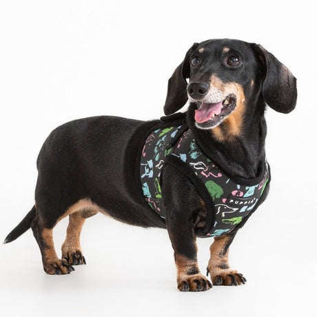 Puppia Connor Vest Harness Model B Black hondentuig > honden harnas > model B Small