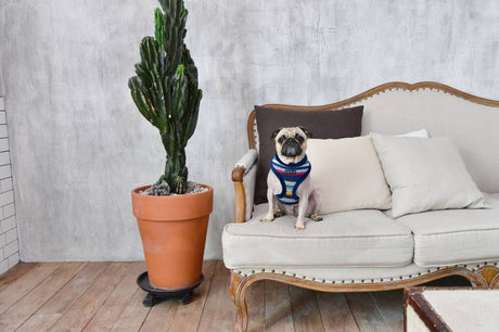 Puppia Crayon Harness model A Navy hondentuig > honden harnas > model A Small