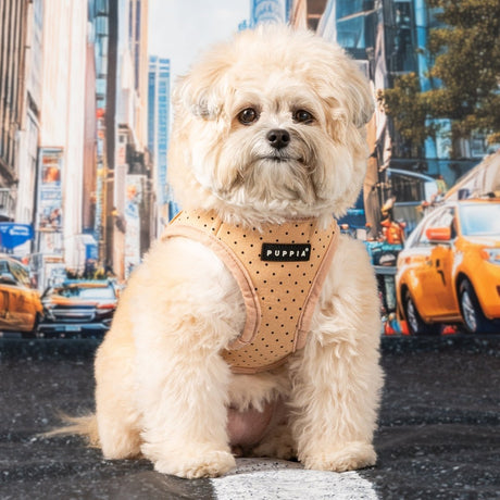 Puppia Dotty Vest Harness Model B Beige hondentuig > honden harnas > model B Small