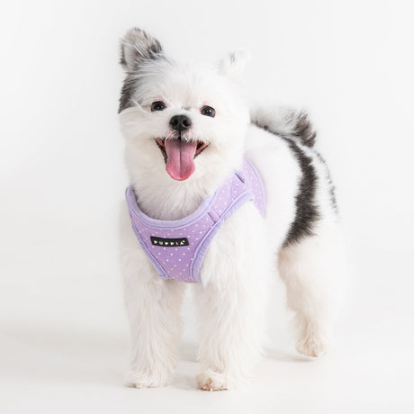 Puppia Dotty Vest Harness Model B Violet hondentuig > honden harnas > model B Small