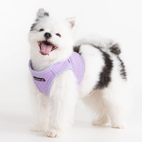 Puppia Dotty Vest Harness Model B Violet hondentuig > honden harnas > model B Small