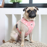 Puppia Ernest Harness model A Pink ( LARGE ) - Premium hondentuig > honden harnas from Puppia - Just €20.99! Shop now at Frenkiezdogshop