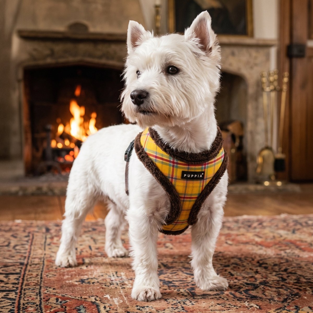 Puppia Galaxia Harness Model A - Brown hondentuig > honden harnas > model A Small