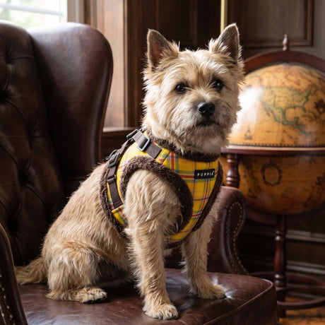 Puppia Galaxia Vest Harness Model B - Brown hondentuig > honden harnas > model B Small