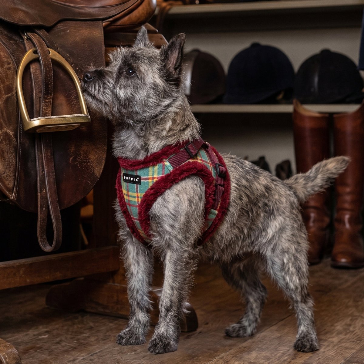 Puppia Galaxia Vest Harness Model B - Wine hondentuig > honden harnas > model B Small