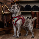Puppia Galaxia Vest Harness Model B - Wine hondentuig > honden harnas > model B Small