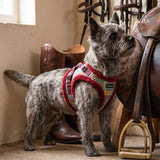 Puppia Galaxia Vest Harness Model B - Wine hondentuig > honden harnas > model B Small