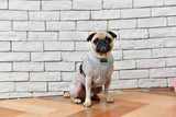 Puppia Gia Harness model A Grey - Premium hondentuig > honden harnas from Puppia - Just €26.99! Shop now at Frenkiezdogshop