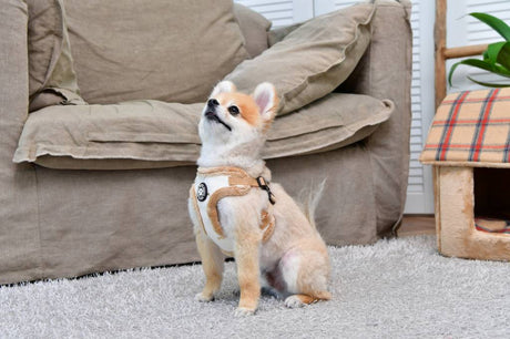 Puppia Gia Harness model A Ivory hondentuig > honden harnas > model A Small
