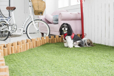 Puppia Legacy Vest Harness model B Red hondentuig > honden harnas > model B Small