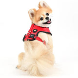 Puppia Legacy Harness model E Red - Premium hondentuig > honden harnas from Puppia - Just €34.99! Shop now at Frenkiezdogshop