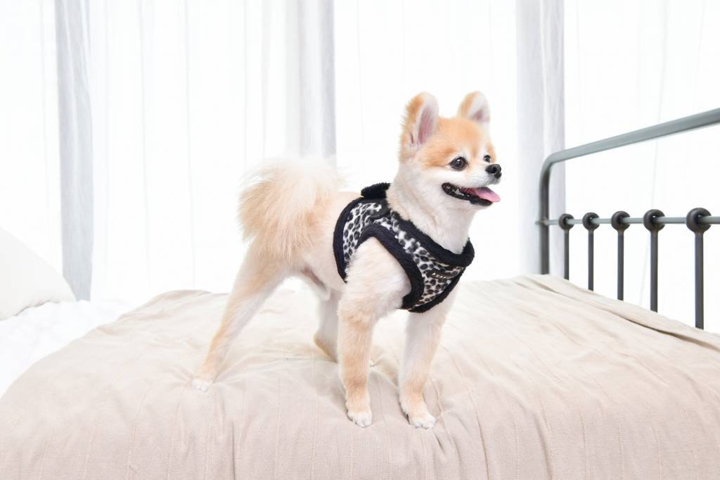 Puppia Leonard Vest Harness model B Black - Premium hondentuig > honden harnas from Puppia - Just €24.99! Shop now at Frenkiezdogshop