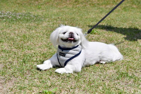 Puppia Mischief Harness model A Grey ( S & XL ) hondentuig > honden harnas > model A Small