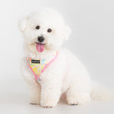 Puppia Nola Hondentuig Model A Pink hondentuig > honden harnas > model A Small