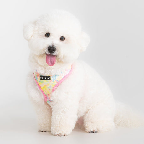 Puppia Nola Hondentuig Model A Pink hondentuig > honden harnas > model A Small