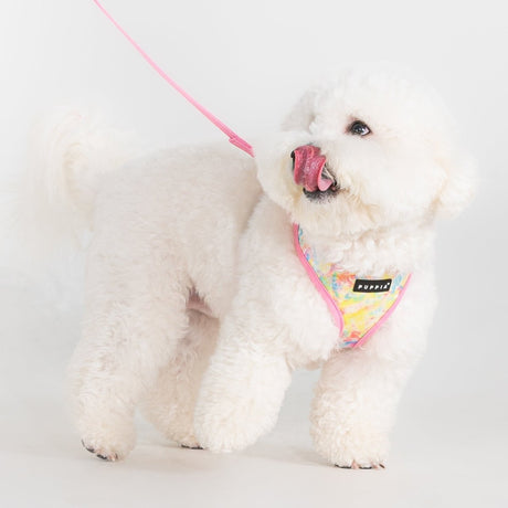 Puppia Nola Hondentuig Model A Pink hondentuig > honden harnas > model A Small