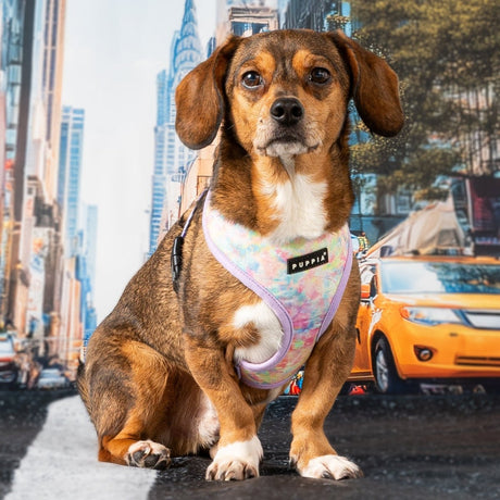 Puppia Nola Hondentuig Model A Violet hondentuig > honden harnas > model A Small