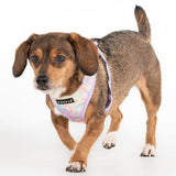 Puppia Nola Hondentuig Model A Violet hondentuig > honden harnas > model A Small