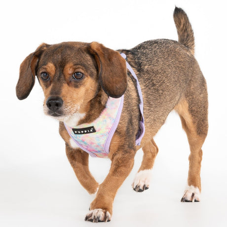 Puppia Nola Hondentuig Model A Violet hondentuig > honden harnas > model A Small