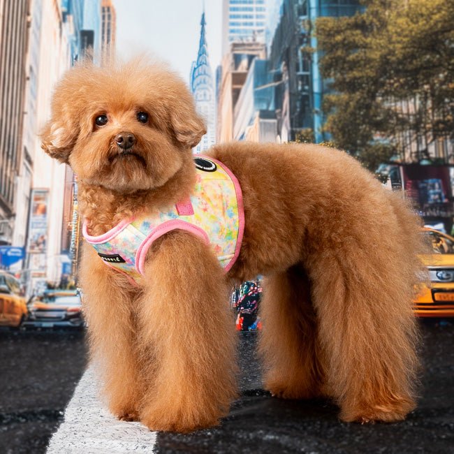 Puppia Nola Vest Harness Model B Pink hondentuig > honden harnas > model B Small