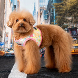 Puppia Nola Vest Harness Model B Pink hondentuig > honden harnas > model B Small