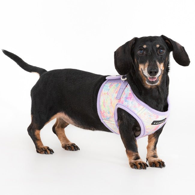 Puppia Nola Vest Harness Model B Violet hondentuig > honden harnas > model B Small