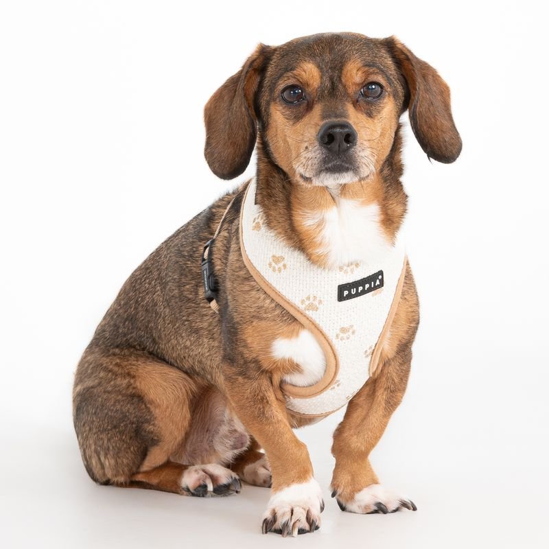 Puppia Pawprint Hondentuig Model A Beige hondentuig > honden harnas > model A Small