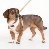 Puppia Pawprint Hondentuig Model A Beige hondentuig > honden harnas > model A Small