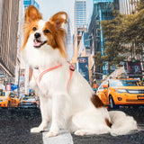 Puppia Pawprint Hondentuig Model A Pink hondentuig > honden harnas > model A Small