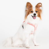 Puppia Pawprint Hondentuig Model A Pink hondentuig > honden harnas > model A Small